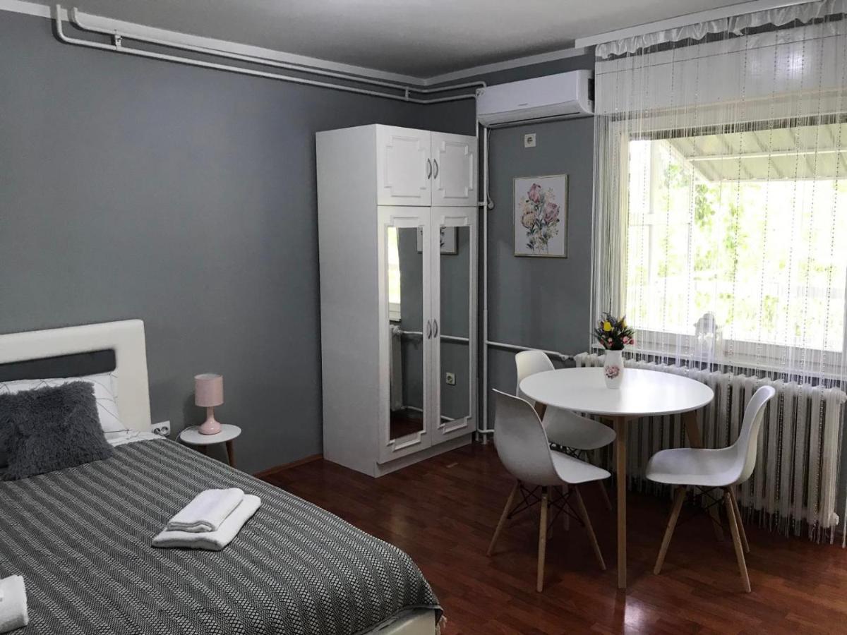 Apartman Studio Pavle I Petra Sremski Karlovci Eksteriør bilde
