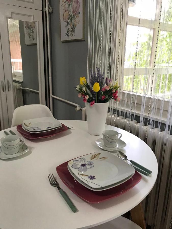 Apartman Studio Pavle I Petra Sremski Karlovci Eksteriør bilde