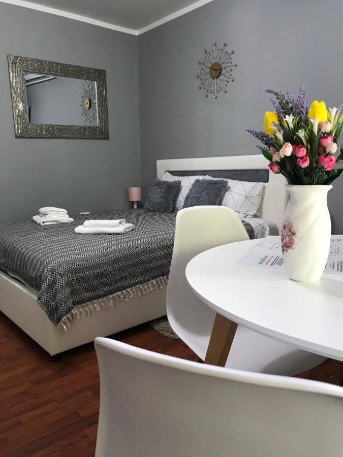Apartman Studio Pavle I Petra Sremski Karlovci Eksteriør bilde