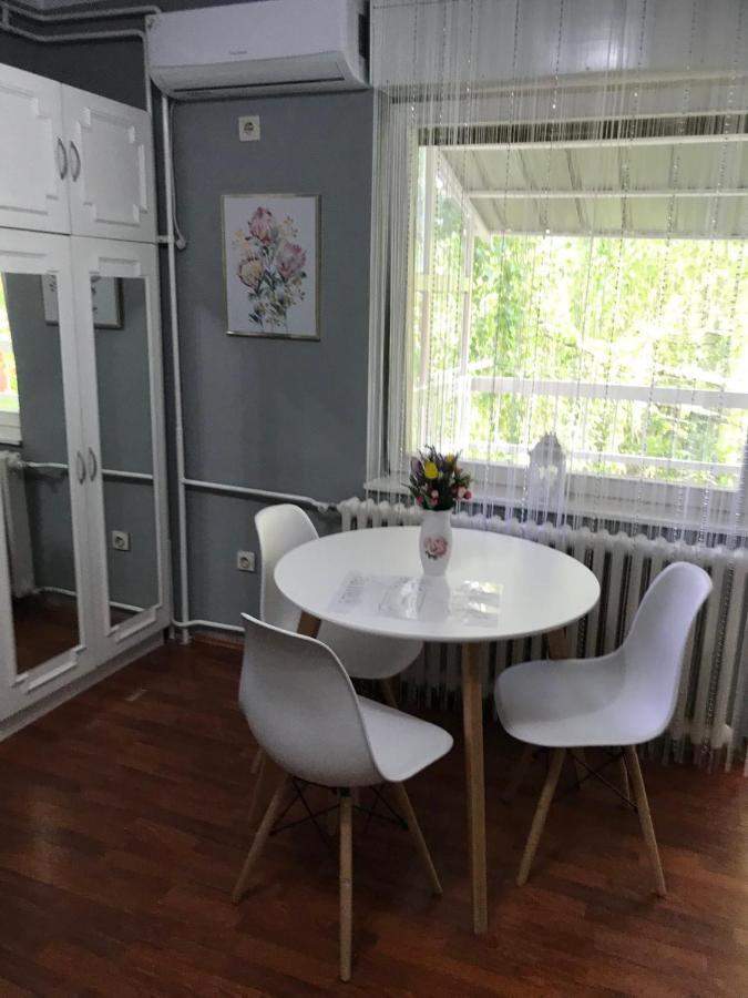 Apartman Studio Pavle I Petra Sremski Karlovci Eksteriør bilde